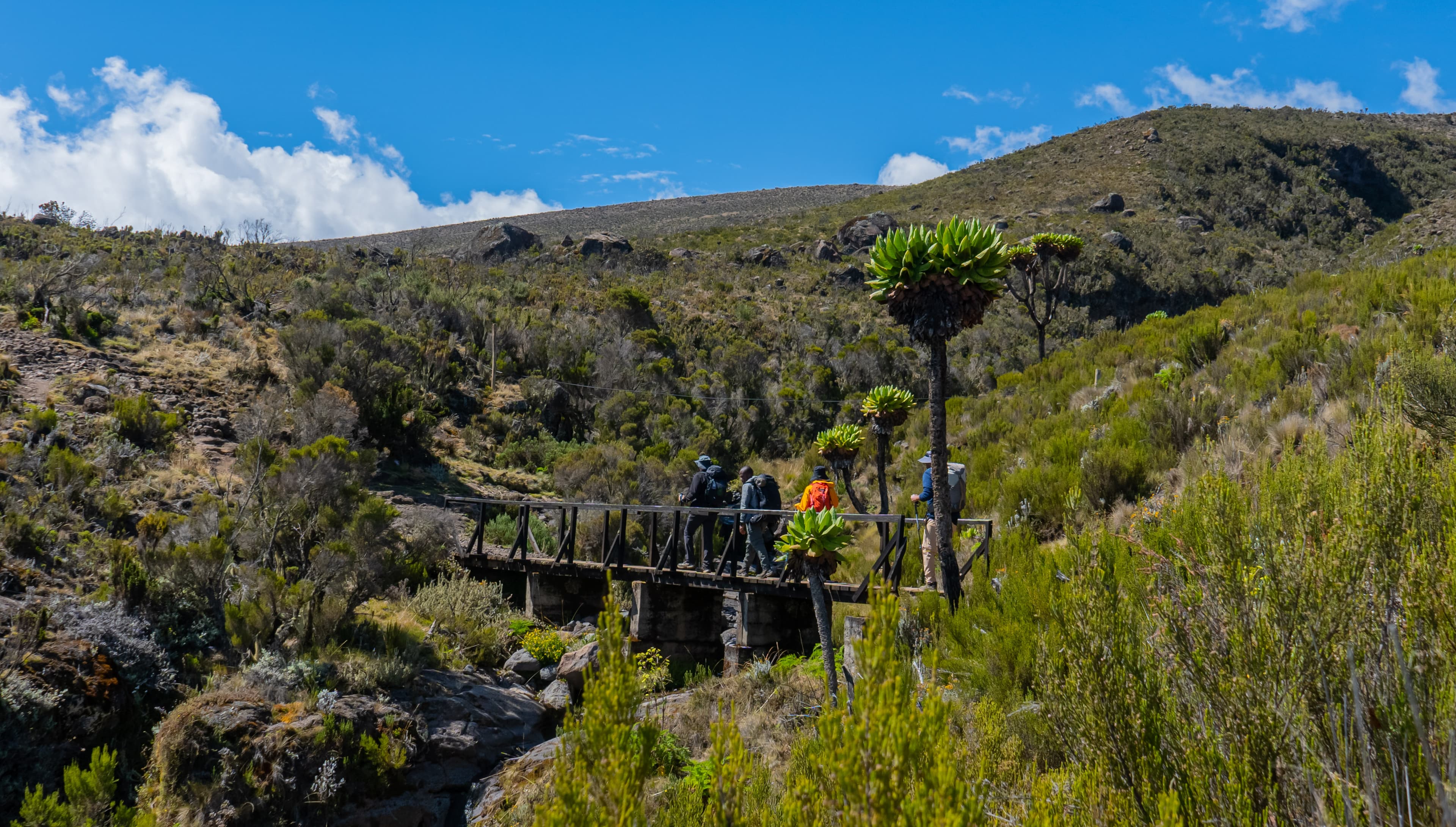 Climbers crossing a footbridge on Kilimanjaro