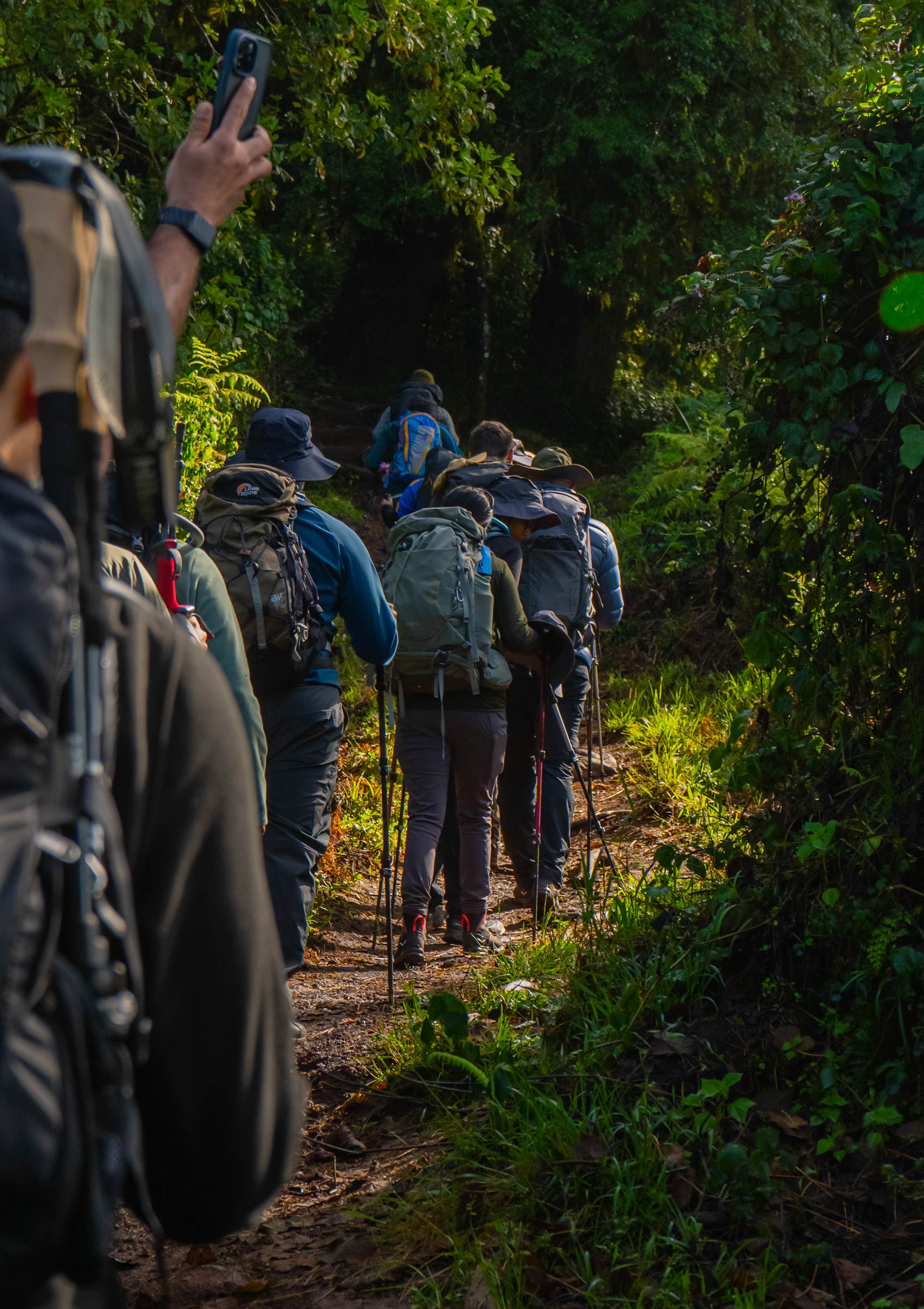 Climbers walking through Kilimanjaro forest