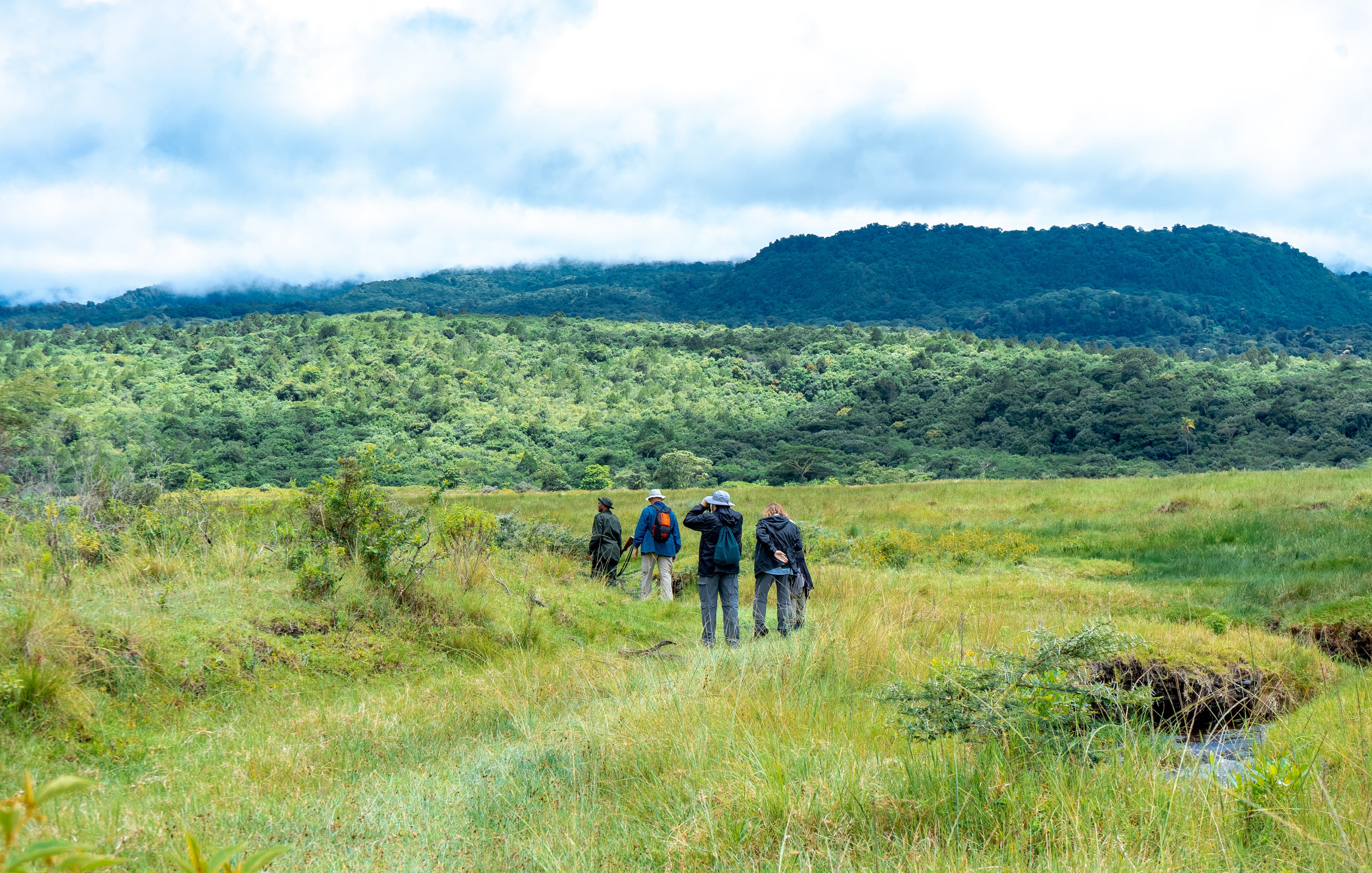 Climbers crossing Kilimanjaro's green moorland