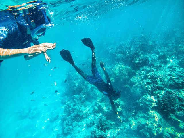 Snorkelers exploring a Zanzibar coral reef